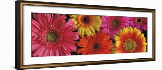 Simply Spring-Janel Pahl-Framed Art Print