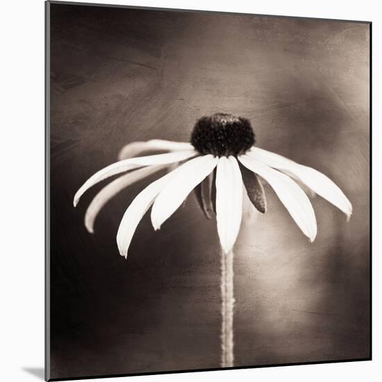 Simply Stated-Carolyn Cochrane-Mounted Photographic Print