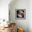 Simulated View of Mars-Stocktrek Images-Framed Photographic Print displayed on a wall