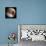 Simulated View of Mars-Stocktrek Images-Mounted Photographic Print displayed on a wall