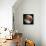 Simulated View of Mars-Stocktrek Images-Mounted Photographic Print displayed on a wall
