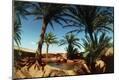 Photographic Print