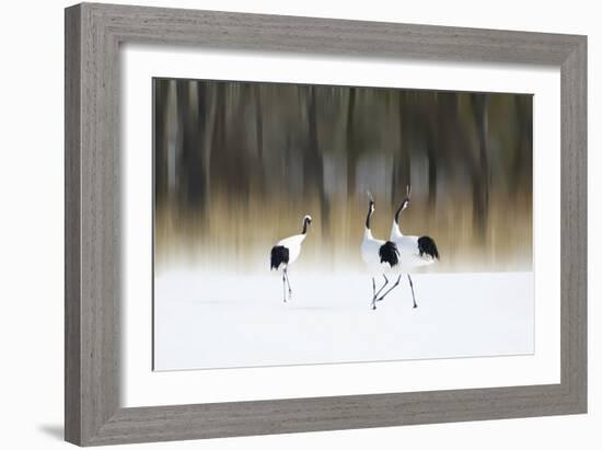 Sing A Song Of Love-Ikuo Iga-Framed Giclee Print