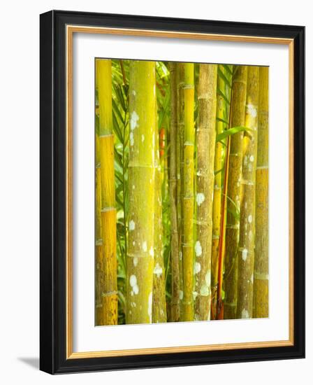 Singapore Botanic Gardens, Singapore-Jon Arnold-Framed Photographic Print