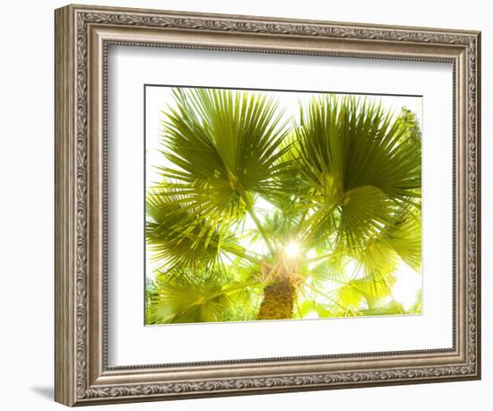 Singapore Botanic Gardens, Singapore-Jon Arnold-Framed Photographic Print