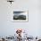 Singapore, City Skyline Elevated View Above the Marina Reservoir, Dusk-Walter Bibikow-Framed Photographic Print displayed on a wall