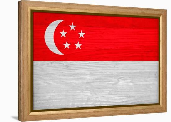 Singapore Flag Design with Wood Patterning - Flags of the World Series-Philippe Hugonnard-Framed Stretched Canvas