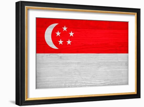 Singapore Flag Design with Wood Patterning - Flags of the World Series-Philippe Hugonnard-Framed Art Print