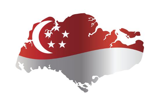 Image result for Singapore flag