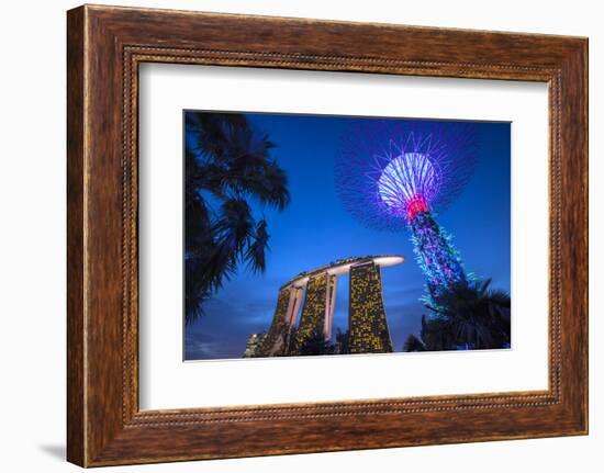 Singapore, Gardens by the Bay, Super Tree Grove and Marina Bay Sands Hotel, Dusk-Walter Bibikow-Framed Photographic Print