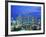 Singapore skyline-Murat Taner-Framed Photographic Print