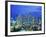 Singapore skyline-Murat Taner-Framed Photographic Print