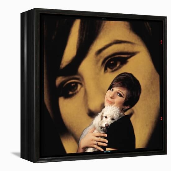 Singer and Actress Barbra Streisand Holding Small Dog in Her Arms-Bill Eppridge-Framed Premier Image Canvas