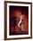 Singer and Actress Dorothy Dandridge Posing by a Piano-Ed Clark-Framed Premium Photographic Print