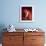 Singer and Actress Dorothy Dandridge Posing by a Piano-Ed Clark-Framed Premium Photographic Print displayed on a wall