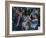 Singer and Musician, Horajuku, Tokyo, Japan, Asia-Rob Mcleod-Framed Photographic Print