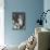 Singer Barbra Streisand-null-Mounted Premium Photographic Print displayed on a wall