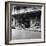 Singer Car Showroom, Port of Spain, Trinidad, Trinidad and Tobago, 1931-null-Framed Photographic Print