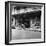 Singer Car Showroom, Port of Spain, Trinidad, Trinidad and Tobago, 1931-null-Framed Photographic Print