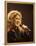 Singer Celine Dion Performing-Dave Allocca-Framed Premier Image Canvas