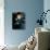 Singer Cyndi Lauper-David Mcgough-Premium Photographic Print displayed on a wall
