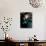 Singer Cyndi Lauper-David Mcgough-Premium Photographic Print displayed on a wall