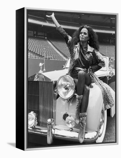 Singer Diana Ross-David Mcgough-Framed Premier Image Canvas