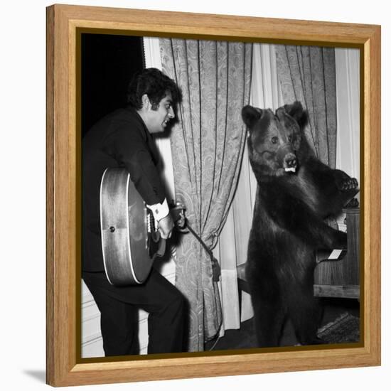 Singer Enrico Macias Playing the Guitar While a Bear Is Playing the Piano, 9 May 1967-null-Framed Stretched Canvas