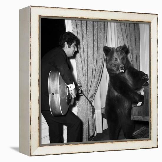 Singer Enrico Macias Playing the Guitar While a Bear Is Playing the Piano, 9 May 1967-null-Framed Stretched Canvas