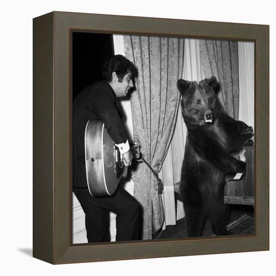 Singer Enrico Macias Playing the Guitar While a Bear Is Playing the Piano, 9 May 1967-null-Framed Stretched Canvas