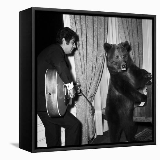 Singer Enrico Macias Playing the Guitar While a Bear Is Playing the Piano, 9 May 1967-null-Framed Stretched Canvas