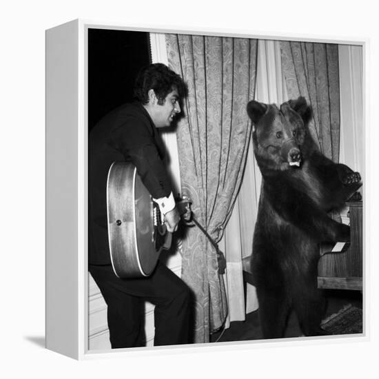 Singer Enrico Macias Playing the Guitar While a Bear Is Playing the Piano, 9 May 1967-null-Framed Stretched Canvas