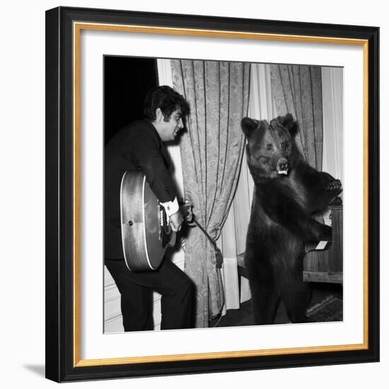 Singer Enrico Macias Playing the Guitar While a Bear Is Playing the Piano, 9 May 1967-null-Framed Photo