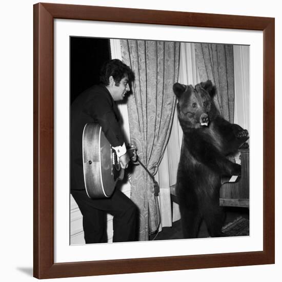 Singer Enrico Macias Playing the Guitar While a Bear Is Playing the Piano, 9 May 1967-null-Framed Photo