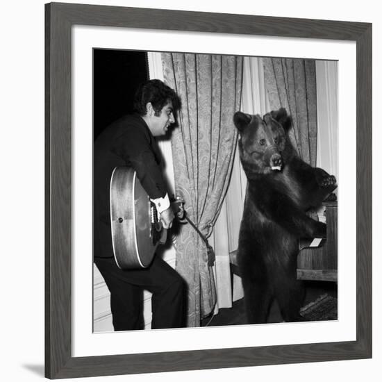 Singer Enrico Macias Playing the Guitar While a Bear Is Playing the Piano, 9 May 1967-null-Framed Photo