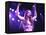 Singer Fiona Apple Performing-Dave Allocca-Framed Premier Image Canvas