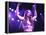 Singer Fiona Apple Performing-Dave Allocca-Framed Premier Image Canvas