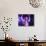 Singer Fiona Apple Performing-Dave Allocca-Premium Photographic Print displayed on a wall
