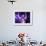 Singer Fiona Apple Performing-Dave Allocca-Framed Premium Photographic Print displayed on a wall