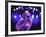 Singer Fiona Apple Performing-Dave Allocca-Framed Premium Photographic Print