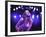 Singer Fiona Apple Performing-Dave Allocca-Framed Premium Photographic Print