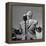 Singer Frankie Laine During a Concert-Martha Holmes-Framed Premier Image Canvas