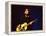 Singer Jackson Browne Performing-Dave Allocca-Framed Premier Image Canvas