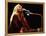 Singer Melissa Etheridge Performing-Dave Allocca-Framed Premier Image Canvas