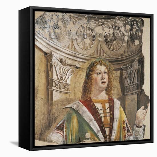 Singer-Donato Bramante-Framed Premier Image Canvas