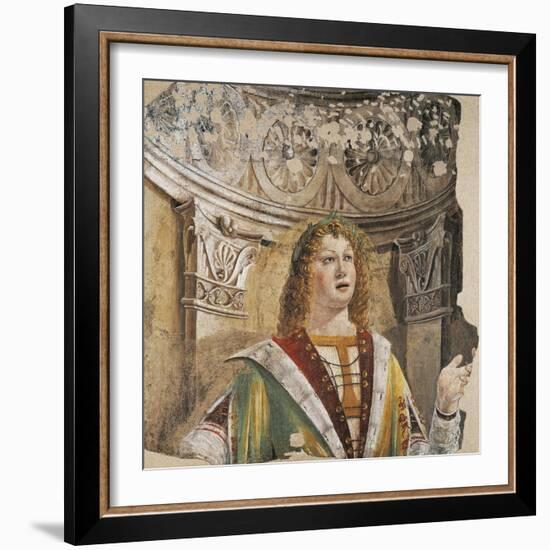 Singer-Donato Bramante-Framed Giclee Print