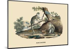 Singes Monkeys-E.f. Noel-Mounted Premium Giclee Print