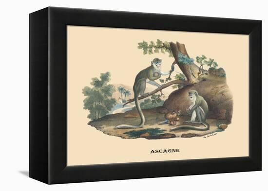 Singes Monkeys-E.f. Noel-Framed Stretched Canvas