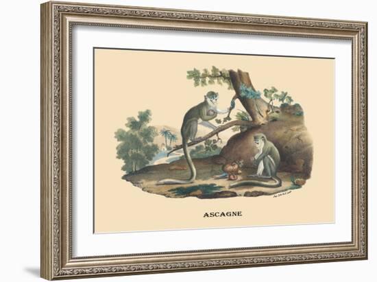 Singes Monkeys-E.f. Noel-Framed Art Print