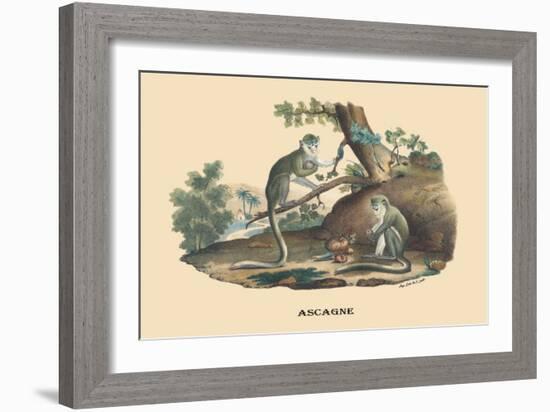 Singes Monkeys-E.f. Noel-Framed Art Print